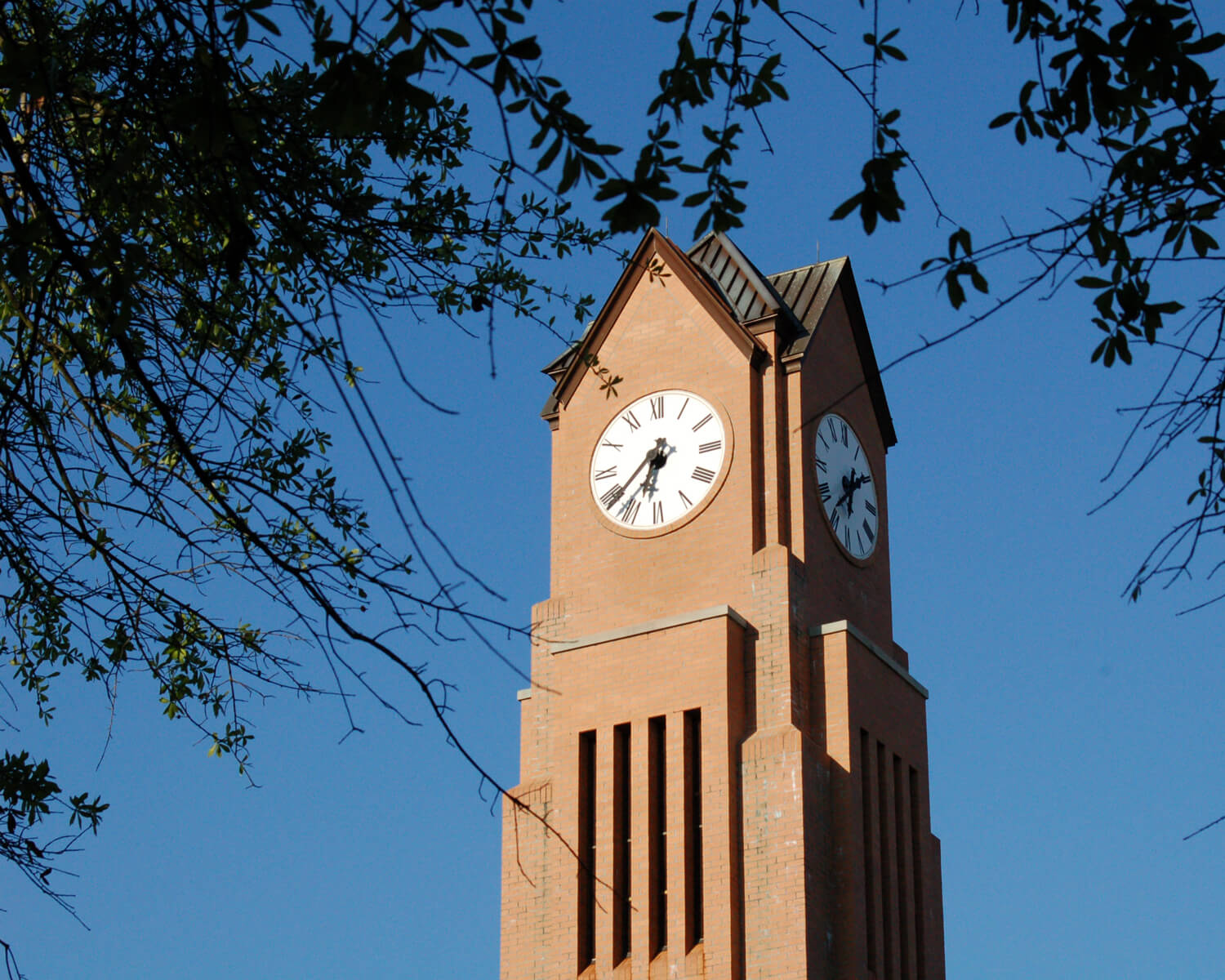 Columbus State University Giving Columbus State University
